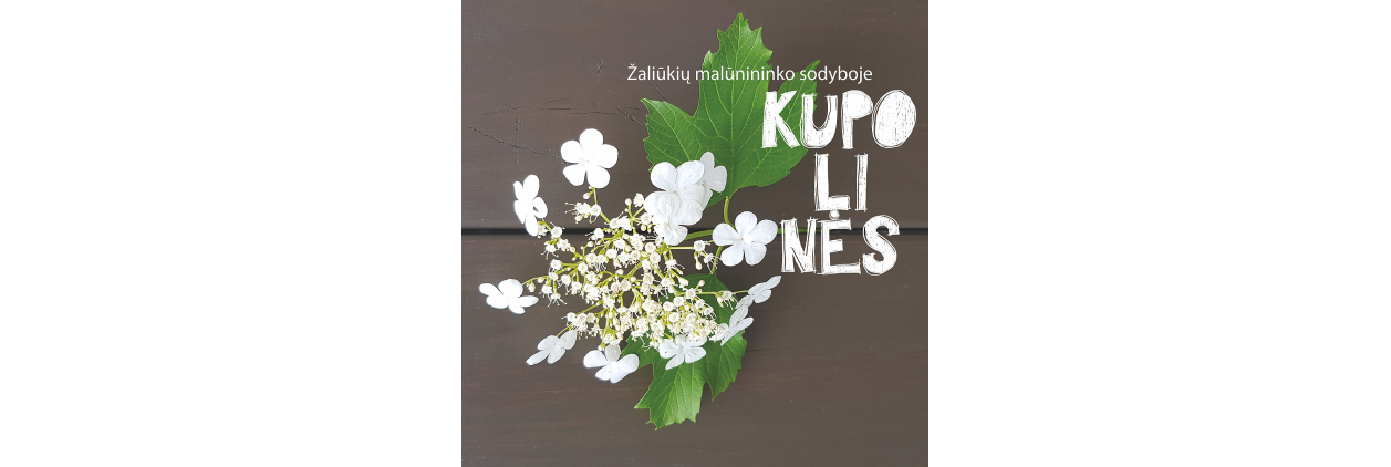 Kupoline_svetainei 1200x1200-9ee7f9c3b2f35bf42be4123c131d668d.jpg